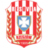 Resovia Rzeszów - koszykówka mężczyzn herb.png
