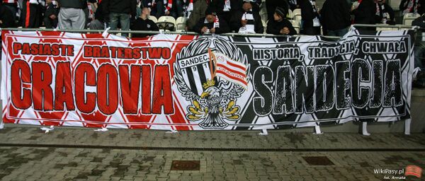 2012-11-03 Cracovia - Sandecja 20.jpg