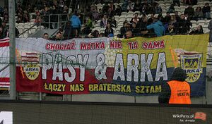 2017-05-08 Cracovia - Arka 27.jpg